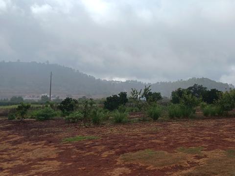 Blick auf das wolkenverhangene Feld