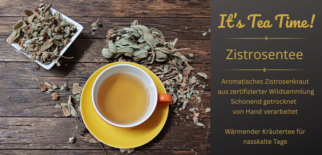 Zistrosentee Teetasse mit Zistrosentee und gerebeltem Zistrosenkraut als Dekoration