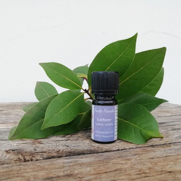 lorbeer-5ml