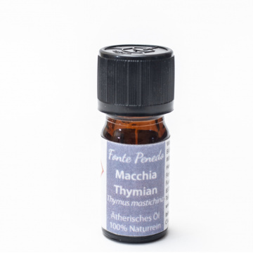 macchia-thymian-v