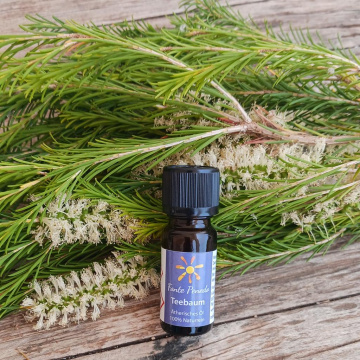 teebaum-1024