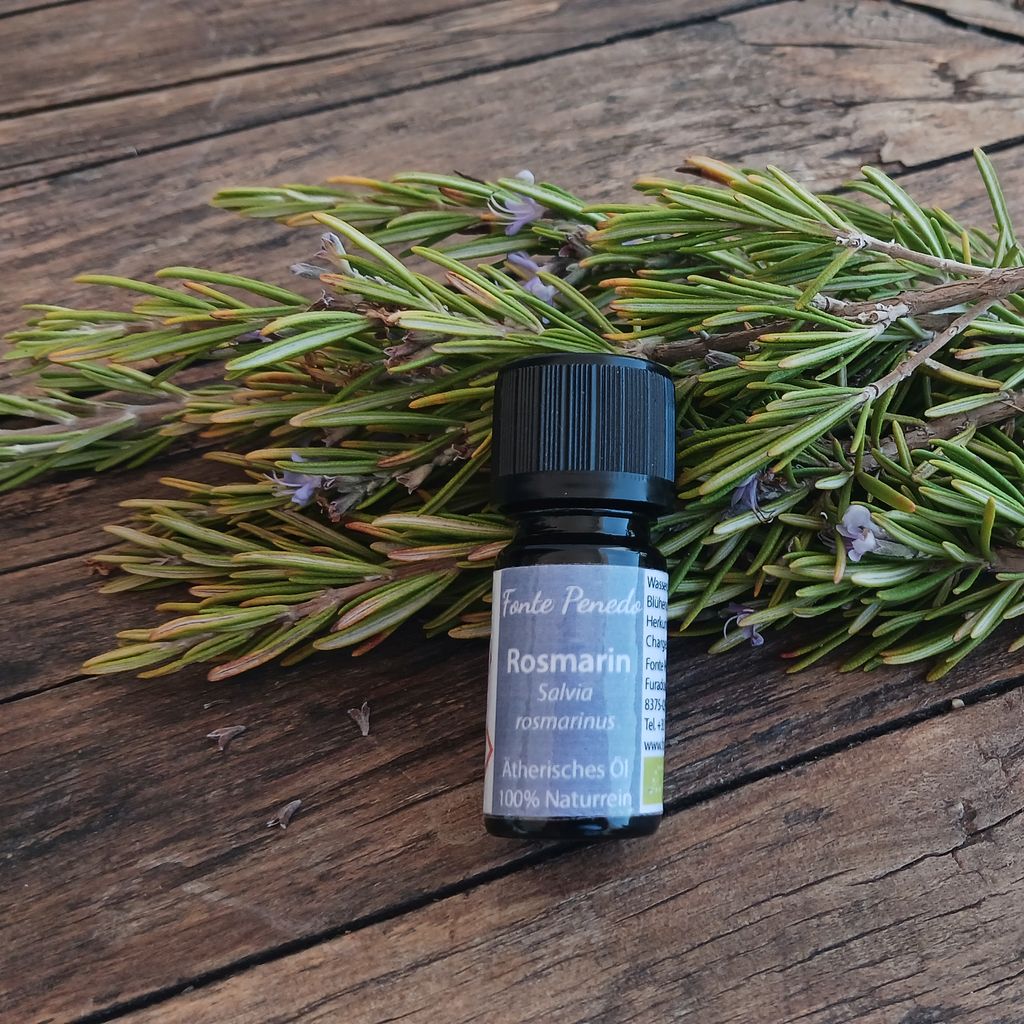 Rosmarin Ätherisches Öl